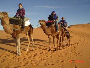 margo-youness-marc-and