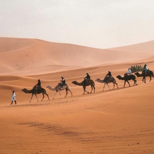 Desert tours with morocco guides